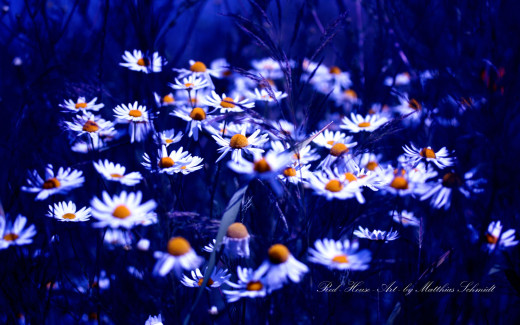 493817 (a): :2560x1600